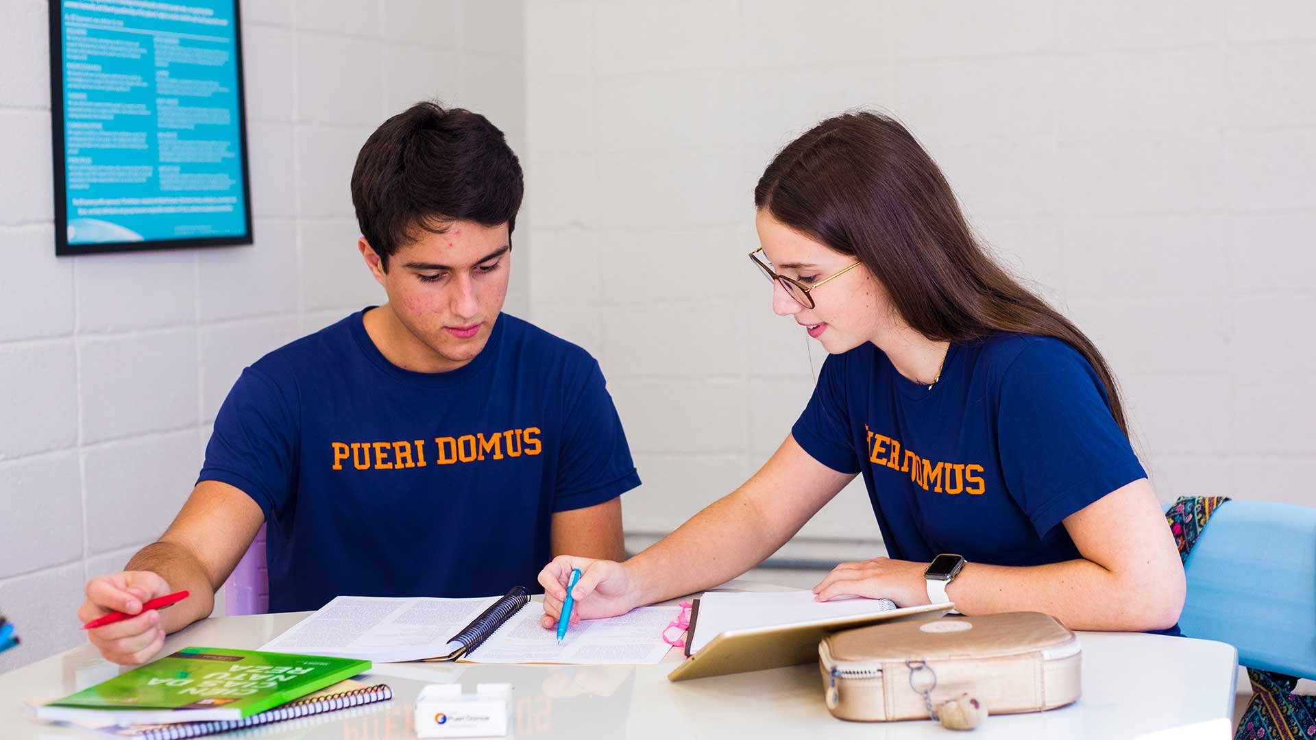 Ensino Médio bilíngue em São Paulo - SP. Escola Bilíngue Pueri Domus.