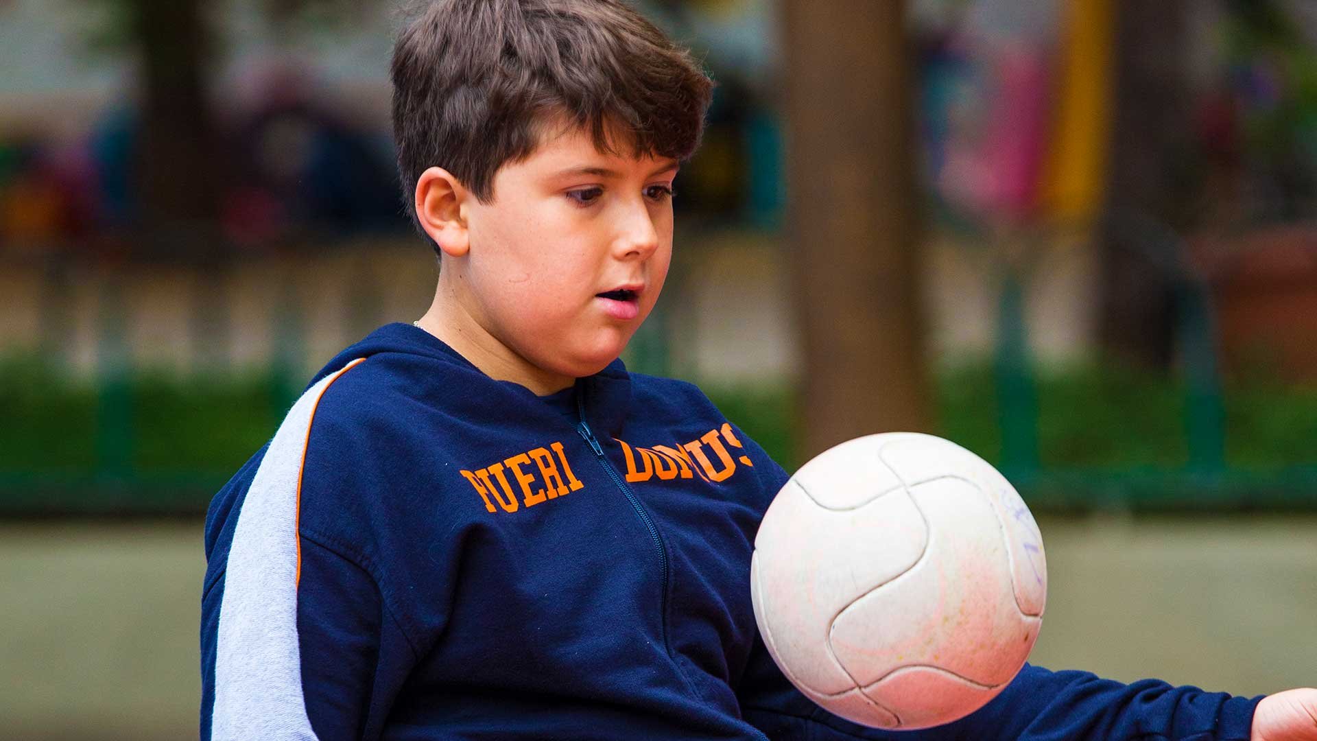 escola-bilíngue-pueri-domus-galeria-ensino-fundamental-1-anos-iniciais