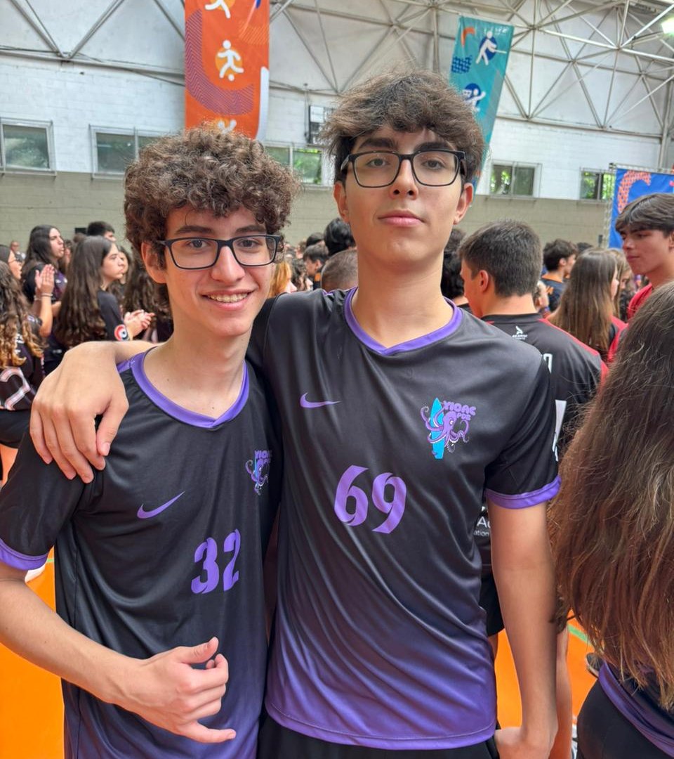 Imagem 6